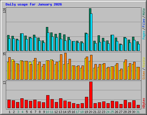 Daily usage for January 2026
