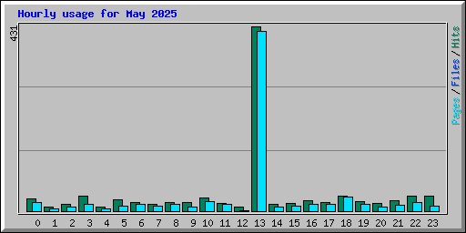 Hourly usage for May 2025
