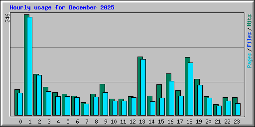 Hourly usage for December 2025