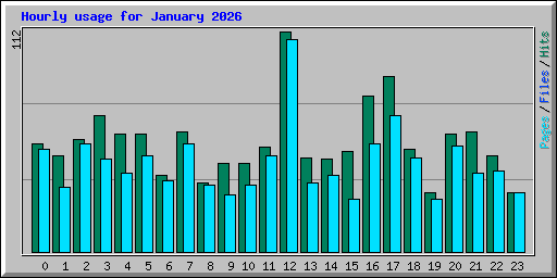Hourly usage for January 2026